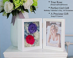 Chilly Immortal Flower Photo Frame, Preserved Flower Rose Picture Frame, Never Withered Roses Gifts