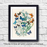 Vintage Butterfly Wall Art Print - Unframed - 8x10 | Botanical Wall Decor