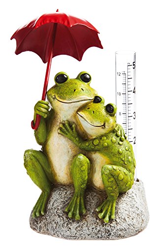 Frog with Rain Gauge