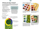 The Watercolour Companion: Techniques & tips to improve your painting