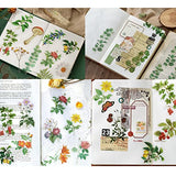 200PCS Flower Eucalyptus Plant Stickers Set PET Transparent Decorative Decals Scrapbooking Stickers for DIY Crafts Album Bullet Journal Planner Water Bottles Phone Cases Laptops