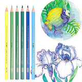 Professional Water Colored Pencils for Adults and Kids, Vibrant Artist Pencils for Drawing Art, Sketching, Shading & Coloring, Bonus Adjustable Pencil Extender (48 watercolor pencils)