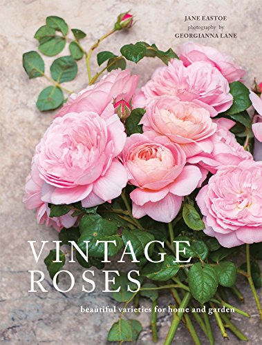 Vintage Roses: Beautiful varieties for home and garden (Beautiful Varieties/Home/Gardn)