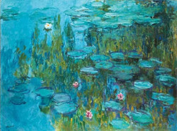 5D DIY Diamond Painting Claude Monet Water Lilies 16X20 inches Full Round Drill Rhinestone Embroidery for Wall Decoration