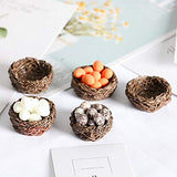 BullkerDirect Miniature Dollhouse Models DIY Decor Doll House Kit Simulation Natural Scene Mini Bird Nest Egg Model 1/12 Dollhouse Accessories C