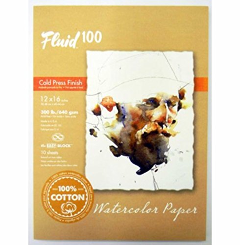 Handbook Paper Fluid 100 Watercolor Cp 300Lb Ez-Block White 12X16