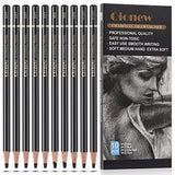 Qionew Professional Charcoal Pencils Drawing Set - 10 Pieces Ex-Soft, Soft, Medium & Hard Charcoal Pencils for Drawing, Sketching, Shading, Ideal Artist Pencils for Beginners & Artists