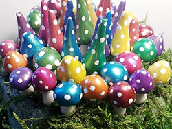 Miniature Mushrooms for Fairy Garden or Terrarium. Set of 25. Vibrantly Colored with Mica Powders.