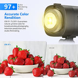 Neewer CB60 60W LED Video Light,Continuous LED Lighting with 5600K Daylight,CRI 97+,TLCI 97+,6500 Lux@1M,Bowens Mount and 2.4G Wireless Remote for Portrait,Wedding,Outdoor Shooting,YouTube Videos