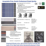 Jaking Creart Master 62 PC Drawing Set,Sketch Kit,Pro Art Supplies|Quality Pencil/Stick-Graphite,Charcoal Black+3 White Charcoal,Woodless Pencil,Pastel|5 Type-50 Sheet Sketch Paper,Tutorial|RPET Case