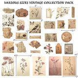 Limmoz Vintage Scrapbook Stickers Pack, Antique Decorative Washi Stickers, Retro Natural Collection, Aesthetic Botany Floral Bird Stickers for Junk Journal Notebooks Diary Letter Gift Tags Envelope