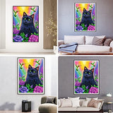 DIAMONDOUBLE Diamond Painting Kits for Adults, DIY Full Round Drill Diamond Art Black Cat Diamond Painting Cat by Numbers Kits Crafts for Family Relaxation & Home Wall Decor
