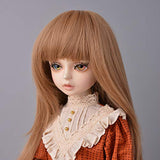 Doll Wig for 1/3 BJD Doll Wig Girls Gift Temperature Synthetic Fiber Long Straight Synthetic Hair