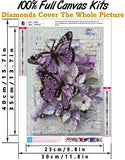 5d Diamond Painting Kits for Adults,Full Drill Diamond Art Animals Butterfly Rhinestone Painting with Diamonds Pictures Arts and Crafts for Home Wall Decor（12x16 Inch）