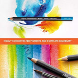 Caran D'Ache Color Pencil Set - Museum Aquarelle Watersoluable Colored Pencil Set of 76 + 2