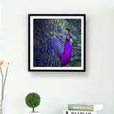 Better Selection DIY 5D Diamond Painting by Number Kit for Adult, Full Drill Diamond Embroidery Dotz Kit Home Wall Decor-13.78 x 13.78(Peacock)