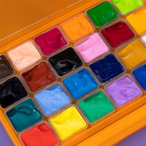 HIMI Gouache Paint Set, 24 Colors x 30ml Unique Jelly Cup Design with 3  Paint Brushes in a Carrying Case Perfect for Artists, Students, Gouache  Opaque Watercolor Painting (Pink) 