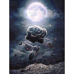 5D DIY Diamond Painting Kits Full Drill Diamond Painting Wall Decor Rhinestone Embroidery Black Rose Under The Moonlight 11.8x15.7in 1 by Lighting S Direct