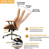 XIZZI Ergonomic Office Chair,Desk Chair,Executive Office Chair,Hige Back Leather Office Chair with Lumbar Support (Brown)