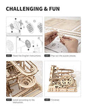 Rowood 3D Wooden Marble Run Puzzle Craft Toy, Gift for Adults & Teen Boys Girls, Age 14+, DIY Model Building Kits - Waterwheel Coaster
