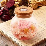 SANRAN Handmade Preserved Real Rose Present Gorgeous Led Mood Light, Upscale Gift Exquisite Eternal