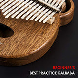 Kalimba 17 Keys Thumb Piano Solid Wood Finger Piano Start Kits African Instrument with Protective Case Tuning Hammer Study Booklet Cleaning Cloth From AKLOT