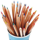 LYRA Rembrandt Polycolor Art Pencils, Set of 36, Assorted Colors (2001360)