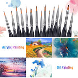 Micro Detail Paint Brush Set,15 PCS Miniature Brushes for Fine Detailing & Art Painting Acrylic Watercolor Oil Art,Watercolor,Oil,Models, Warhammer 40k (Micro Detail Paint Brush Set 15pcs)