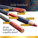 Castle Art Supplies Gold Standard 72 Coloring Pencils Set with Extras | Quality Oil-based Colored Cores Stay Sharper, Tougher Against Breakage | For Adult Artists, Colorists | In Zipper Case