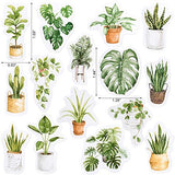 OIIKI 225 PCS Oxygen Green Plants Scrapbook Stickers, Green Potted Plants DIY Decoration Stickers for Scrapbook, Notebooks, Cards, Envelopes, Laptop, Calendars, Including Repeat (5 Boxes x 45 PCS)