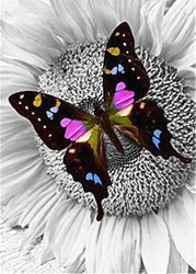 New 5D Diamond Painting Kits for Adults Kids, Awesocrafts Black Butterfly and White Sunflower Full Drill DIY Diamond Art Crystal Rhinestone Paint by Diamonds Cross Stitch (Black Butterfly)