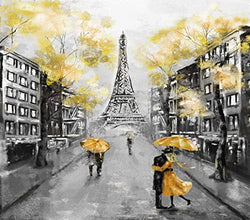 DIY 5D Diamond Painting Kit Oil Paris European City Landscape France Eiffel Tower Black White 16" X 20" Adult Children Full Drill Rhinestone Cross Stitch Art Crafts for Home Decoration