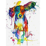 Diamond Painting 5D DIY Kits for Adults, Kids, Beginners. Home Office Decortaion. Gift Presents for Him Her Beagle Colors Dog 11.8x15.7Inch