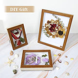 ArtbyHannah 3 Pieces Walnut Small Shadow Box Frame Display Case for Gifts with Tempered Glass for Table Top Display or Wall Mounting, 4x6, 5x7, 8x10 Inch