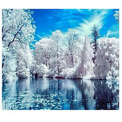 Mobicus 5D DIY Diamond Painting by Number Kits，Lake Snow（16X12inch/40X30cm）