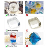 LET'S RESIN Casting Epoxy Resin, Bubbles Free Clear Resin and Hardener for Resin Art Craft, Mold Friendly Epoxy Resin Kit for Resin Casting and Coating