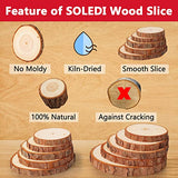 Wood Slices 30Pcs 2.4"-2.8" Unfinished Natural Wooden Slice Circle Kit Without Hole for Rustic Wedding Decorations Round Coasters&Halloween/Christmas Ornaments DIY Arts Crafts