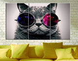 Amoy Art -3 Panels Cut Cat with Glasses Wall Art Giclee Canvas Prints Animal Head Pictures Paintings on Canvas Stretched and Framed for Living Room Bedroom Home Decorations (12x24inch x3)