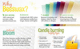Make Your Own Beeswax Candle Kit - Includes 10 Full Size 100% Beeswax Honeycomb Sheets in Natural and Approx. 6 Yards (18 Feet) of Cotton Wick. Each Beeswax Sheet Measures Approx. 8" x 16 1/4".