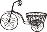 Iron Bicycle Plant Stand