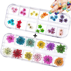 60PCS Nail Dried Flowers - 24 Colors 3D Dry Flowers Nail Art Stickers Decoration Mini Real Natural Nail Supplies Tips Manicure Decor Mixed Accessories(24PCS Starry and 36PCS Five Flower)