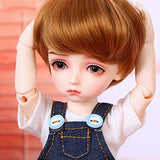 W&Y 1/6 BJD Doll 10Inch Ball Jointed Dolls Reborn Figure + Full Set Accessories + Shoes + Hair + Clothes Surprise Doll Toy for Birthday Gift
