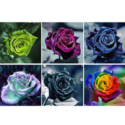 HaiMay 6 Pack DIY 5D Diamond Painting Kits Full Drill Rhinestone Painting Flowers Diamond Pictures for Wall Decoration, Rose Diamond Painting Style (Canvas 10×10 Inch)