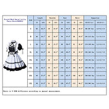 Anime French Maid Apron Lolita Fancy Dress Cosplay Costume Furry Cat Ear Gloves Socks Set(S) Black-White