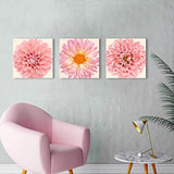 Flower Picture Canvas Wall Art: Chrysanthemum Floral Artwork Pink Gerbera Daisy Paintings Print Set for Walls(16"W x 16"H x 3 PCS)