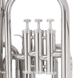 Cecilio 2Series AH-280N Eb Alto Horn with Stainless Steel Valves, Nickel