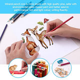 LNNMEI Colored Pencils Art Supplies 72 Professional Coloring Set Oil-based Artist Pencil for Drawing, Sketching, Shading, Adults, Beginners and Artists colors birds oils 72c.