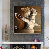 Diamond Art Kits for Adults 5D Diamond Paintings Cat 5D Full Drill Diamond Painting Art Home Wall Decor 12"L x 12"W (#1-Cat)