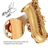 Saxophone,E-flat Brass alto saxophone with suitcase,Full Tenor saxaphone for beginners Students, 10 Alto saxophone reeds, Glove, Strap, Box,Brush, Cleaning cloth, 8 Mouthpiece Cushion Pads