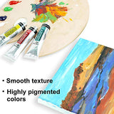 PHOENIX Artist Grade Oil Paint Set 12 Tubes x 40ml (1.35 Oz.) - Oil Painting Colors for Professionals Artists